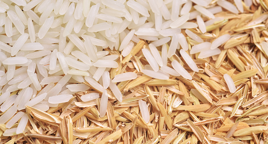 La Càmara Arrossera del Montsià crea un sustitutivo del plástico con cascarillas de arroz