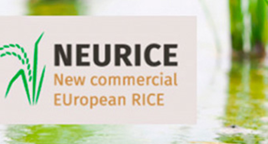 The Rice Growers Chamber of Montsià participates in the Neurice Project